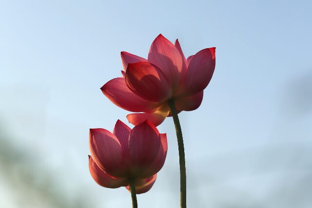 夫婦関係カウンセリング